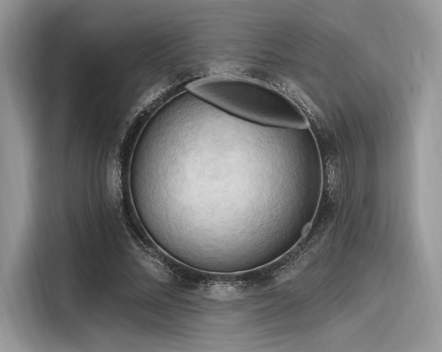 X0000116130684200911301347