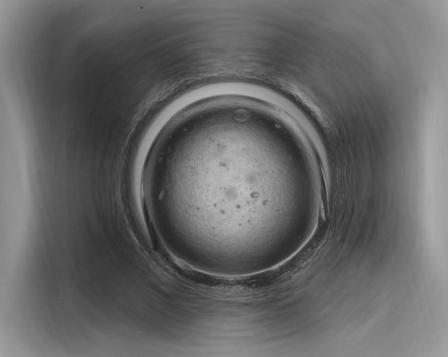 X0000116130685200911301347