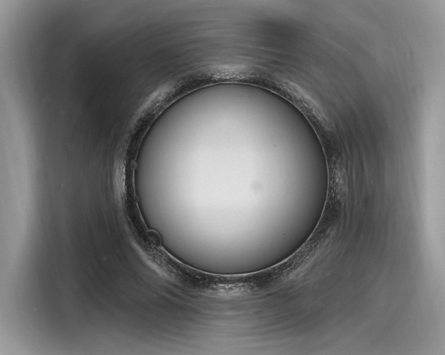 X0000116130686200911301347