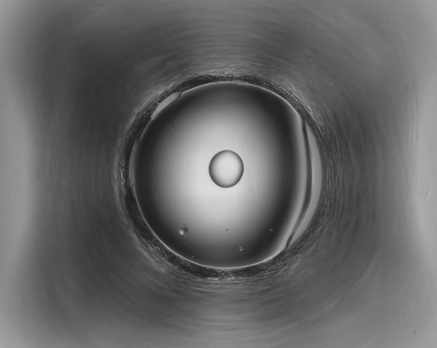 X0000116130688200911301347