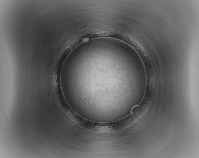 X0000116130689200911301347