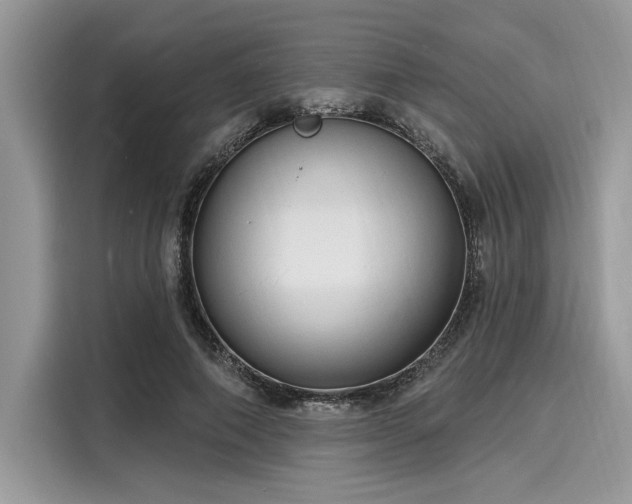 X0000116130690200911301347