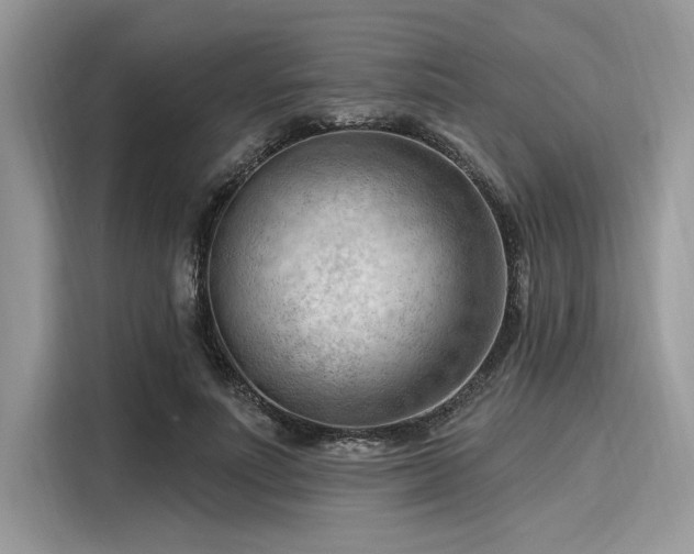 X0000116130691200911301347