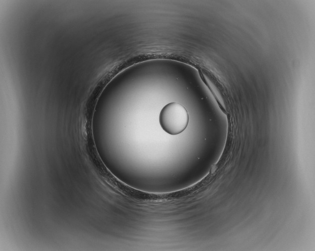 X0000116130692200911301347