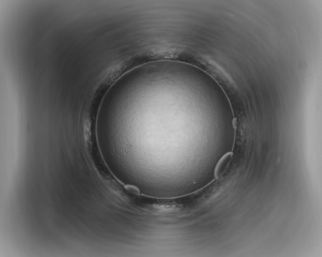X0000116130693200911301347