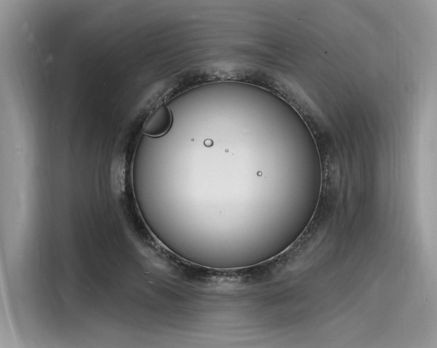 X0000116130694200911301347