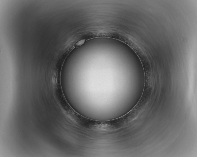 X0000116130695200911301347