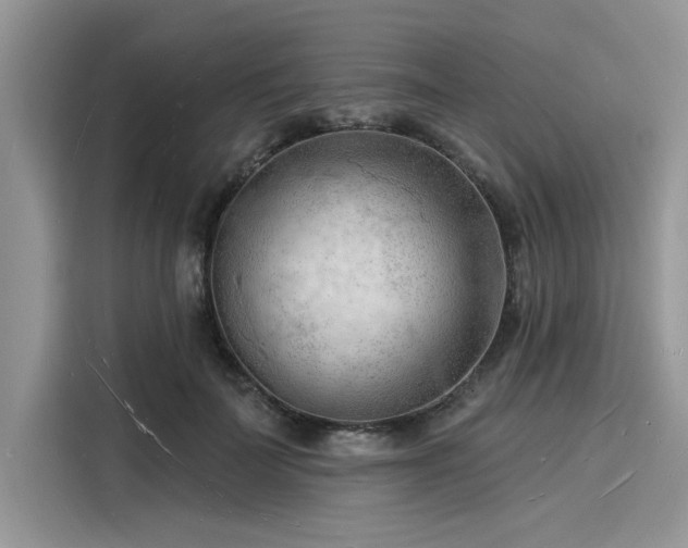 X0000116130699200911301347