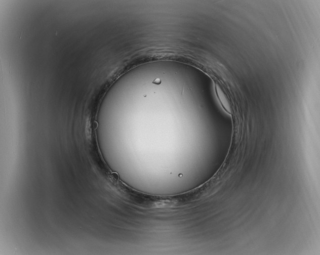 X0000116130700200911301347