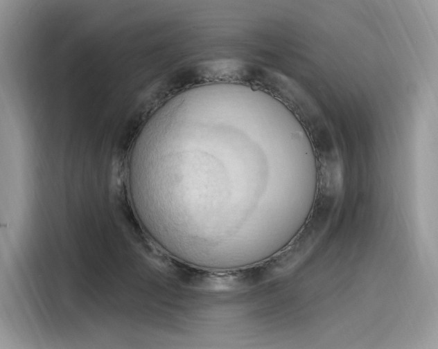 X0000116130701200911301347