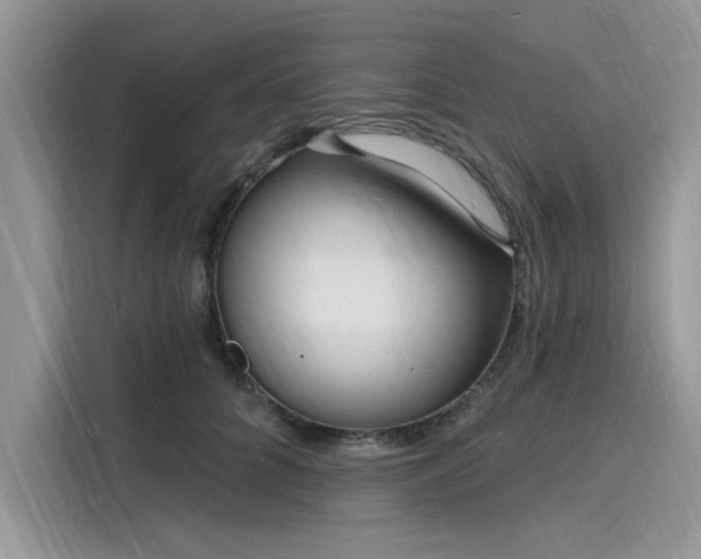 X0000116130704200911301347