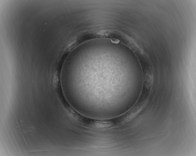 X0000116130707200911301347