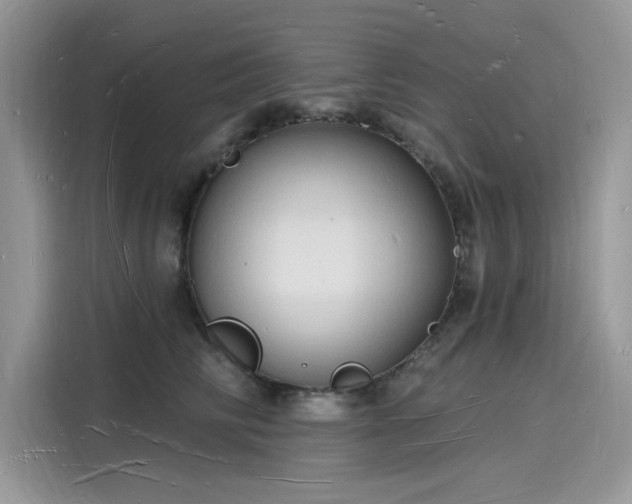 X0000116130710200911301347