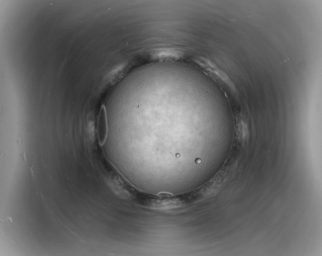 X0000116130716200911301347