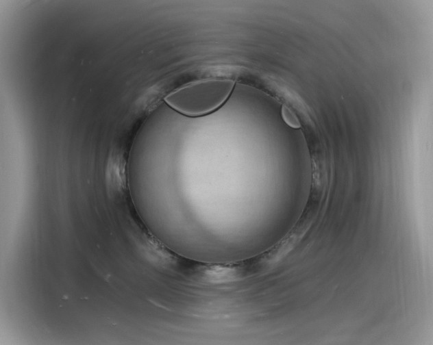 X0000116130718200911301347