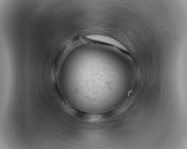 X0000116130719200911301347