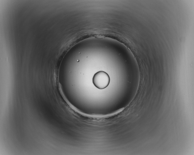 X0000116130720200911301347