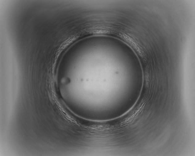 X0000116130721200911301346