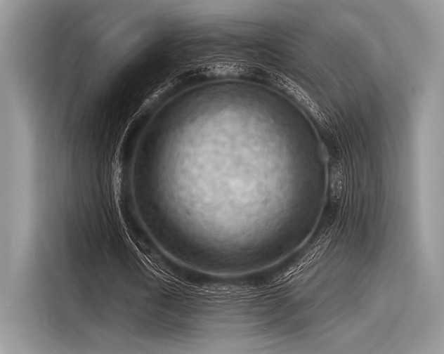 X0000116130722200911301346