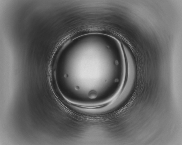 X0000116130725200911301346