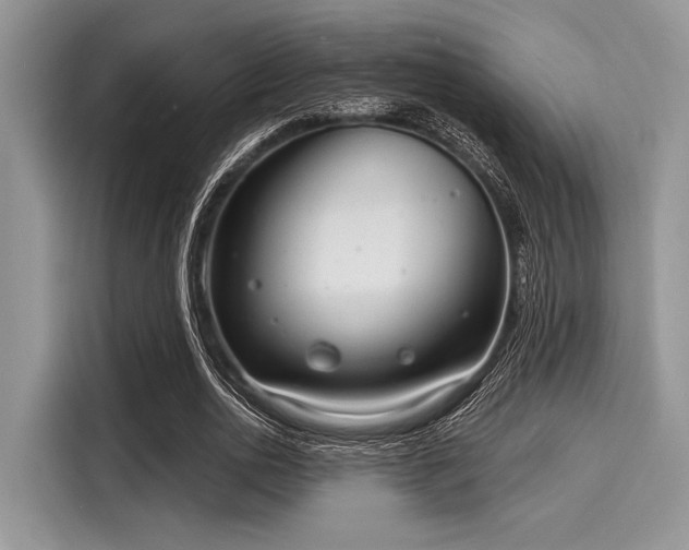 X0000116130726200911301346