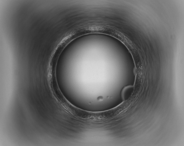 X0000116130727200911301346