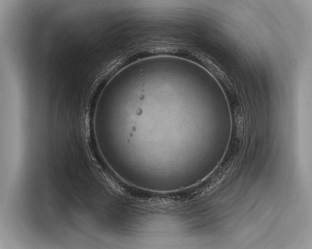 X0000116130729200911301346