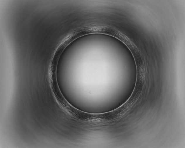 X0000116130730200911301346