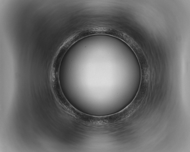 X0000116130731200911301346