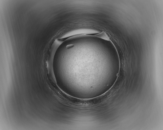 X0000116130735200911301346