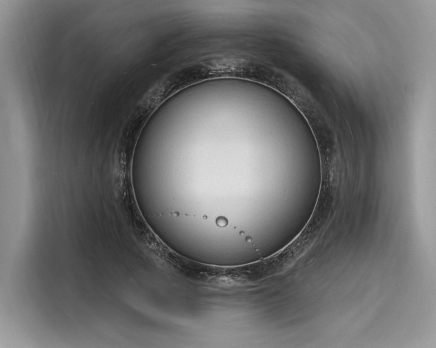 X0000116130737200911301346