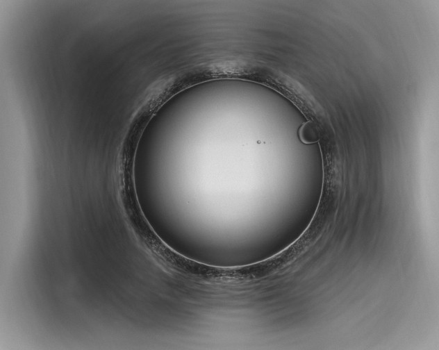 X0000116130738200911301346