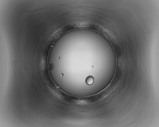 X0000116130741200911301346