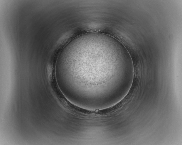 X0000116130742200911301346