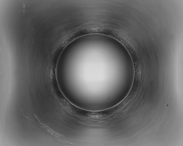X0000116130746200911301347