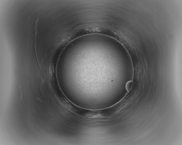 X0000116130747200911301347