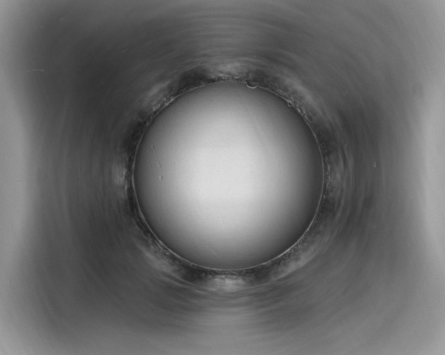 X0000116130749200911301347