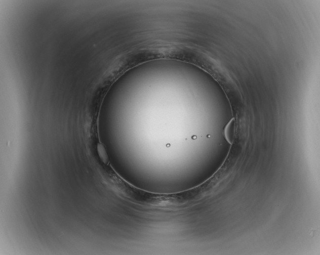 X0000116130750200911301347