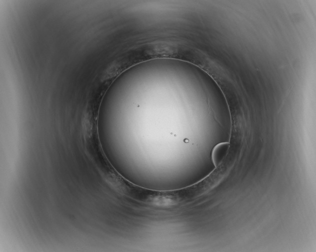 X0000116130751200911301347