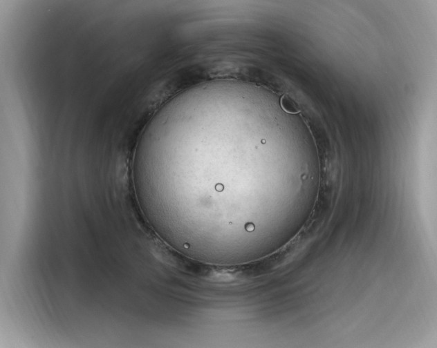 X0000116130753200911301347
