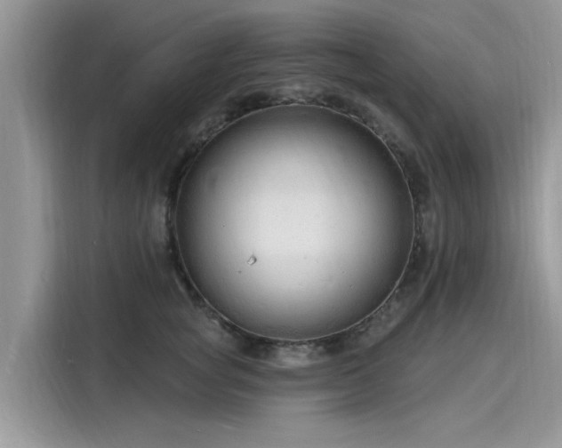 X0000116130757200911301347