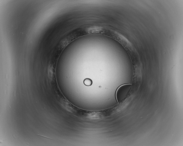 X0000116130761200911301347
