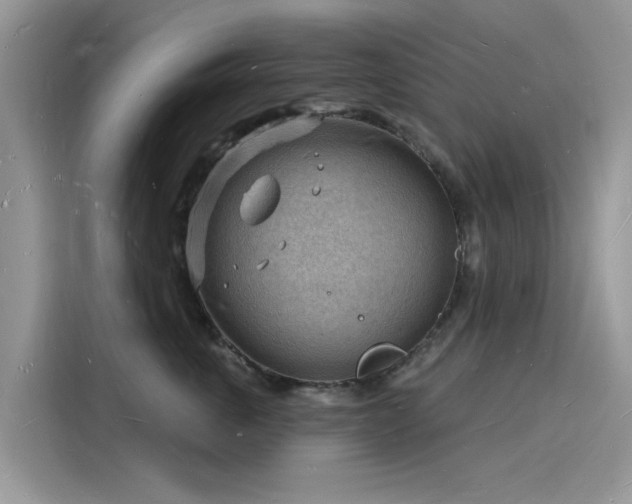 X0000116130763200911301347