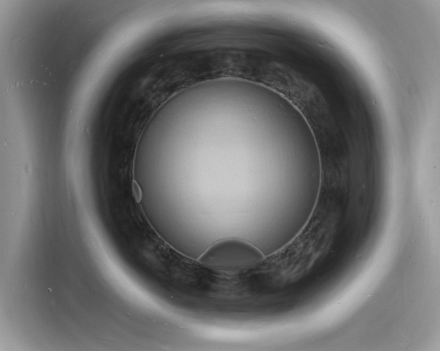 X0000116130766200911301347