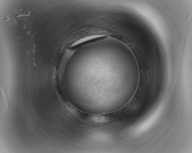 X0000116130767200911301347