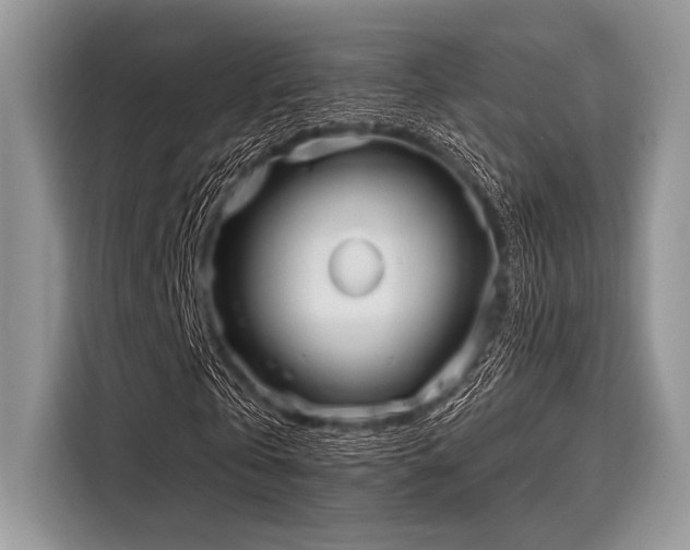 X0000116130769200911301346