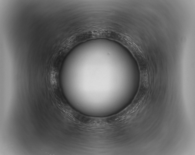 X0000116130770200911301346
