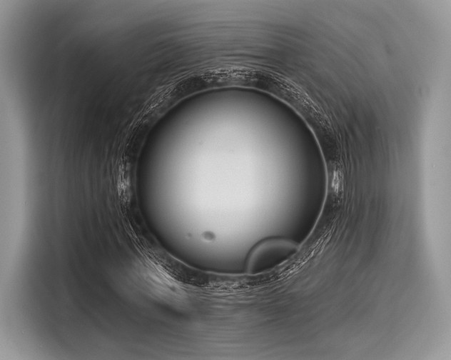 X0000116130771200911301346