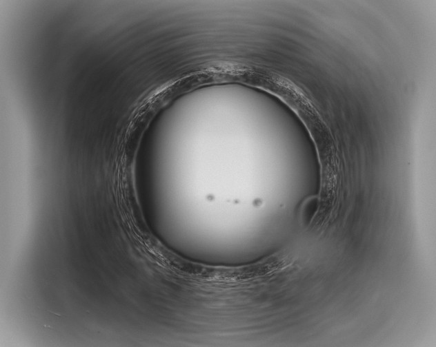 X0000116130773200911301346