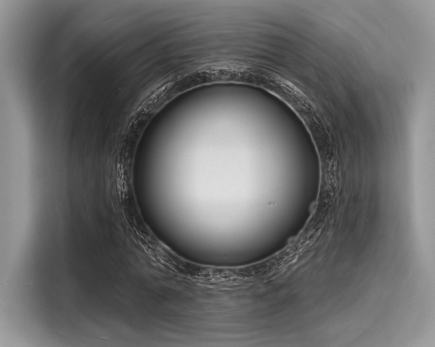 X0000116130774200911301346